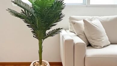 شجر صناعي: لمسة خضراء تدوم طويلاً مع متجر ليفورا